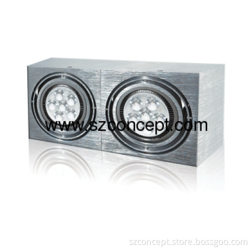 AR111 20W LED Ceiling Light, LED Downlight - P